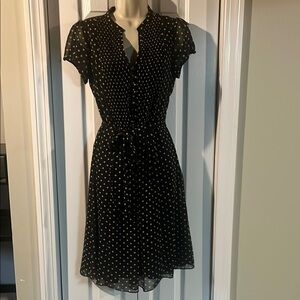 Dressbarn Black A-Line Mini Dress with Flutter Sleeves